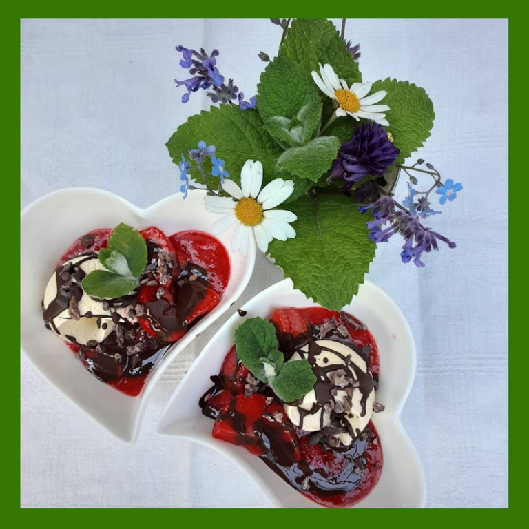 Eis mit Kakaonibs