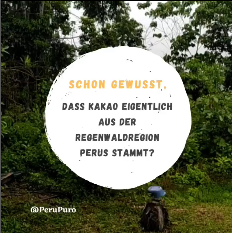 Kakao aus Peru